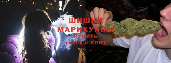 ешки Верхний Тагил