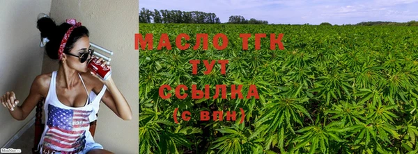ешки Верхний Тагил